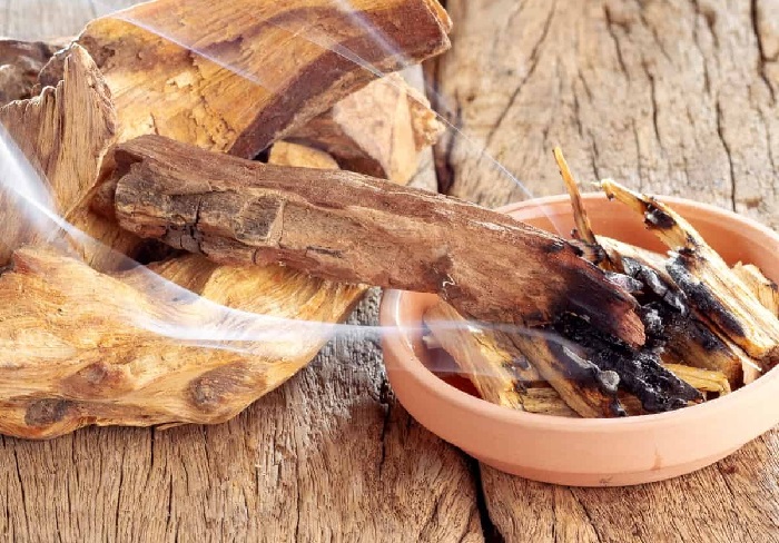 Significado Del Humo Del Palo Santo O Como Leer Su Humo